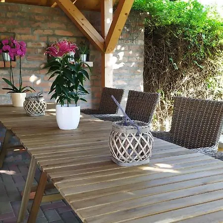 Leander * バラトンレッレ