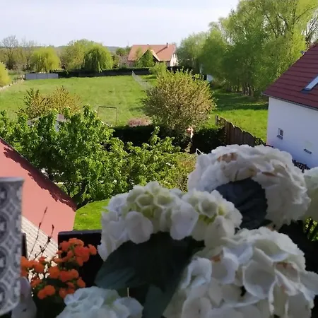 Leander Balatonlelle
